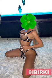 ���������� ����